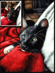 COMMISSIONED Cat portraits email coledane@gmail.com