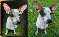 COMMISSIONED dog portraits: email coledane@gmail.com