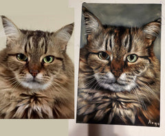 COMMISSIONED Cat portraits email coledane@gmail.com