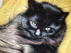 COMMISSIONED Cat portrait... email coledane@gmail.com for you own!