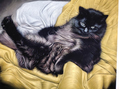COMMISSIONED Cat portrait... email coledane@gmail.com for you own!