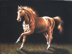 Horse running in grass ; Original Oil Painting on Black Velvet ;   by Jorge Terrones -(size 18"x24")-p2 J021