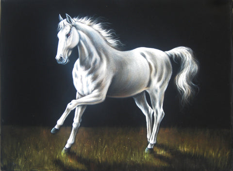 Horse, White  horse running, Original Oil Painting on Black Velvet by Enrique Felix , "Felix" - #F83