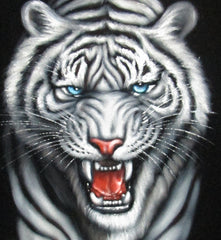 Tiger, White Tiger, Siberian Bengal Tiger,  Original Oil Painting on Black Velvet by Alfredo Rodriguez "ARGO"  - #A100