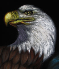 Indian child with eagle,  Original Oil Painting on Black Velvet by Alfredo Rodriguez "ARGO" - #A150
