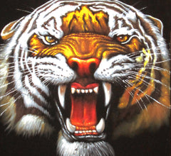 Tiger Head, Orange Bengal Tiger, Original Oil Painting on Black Velvet by Alfredo Rodriguez "ARGO"  - #A57