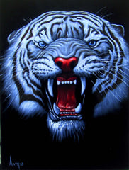 Tiger Head, White Tiger,  Original Oil Painting on Black Velvet by Alfredo Rodriguez "ARGO"  - #A66