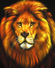 Lion,  Original Oil Painting on Black Velvet by Alfredo Rodriguez "ARGO"  - #A82
