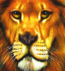 Lion,  Original Oil Painting on Black Velvet by Alfredo Rodriguez "ARGO"  - #A82