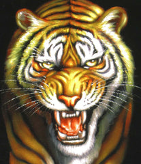 Tiger,  Orange Bengal Tiger, Original Oil Painting on Black Velvet by Alfredo Rodriguez "ARGO"  - #A90