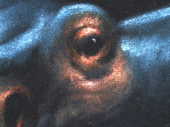 Hippo, Hippopotamus, Original Oil Painting on Black Velvet by Enrique Felix , "Felix" - #F14