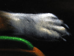 Dogs playing poker,   Original Oil Painting on Black Velvet by Enrique Felix , "Felix" - #F168