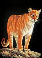 Mountain Lion, Leopard, Panther, Jaguar; Wild Cat; Original Oil Painting on Black Velvet ;   by Jorge Terrones -(size 18"x24")-p2 J086