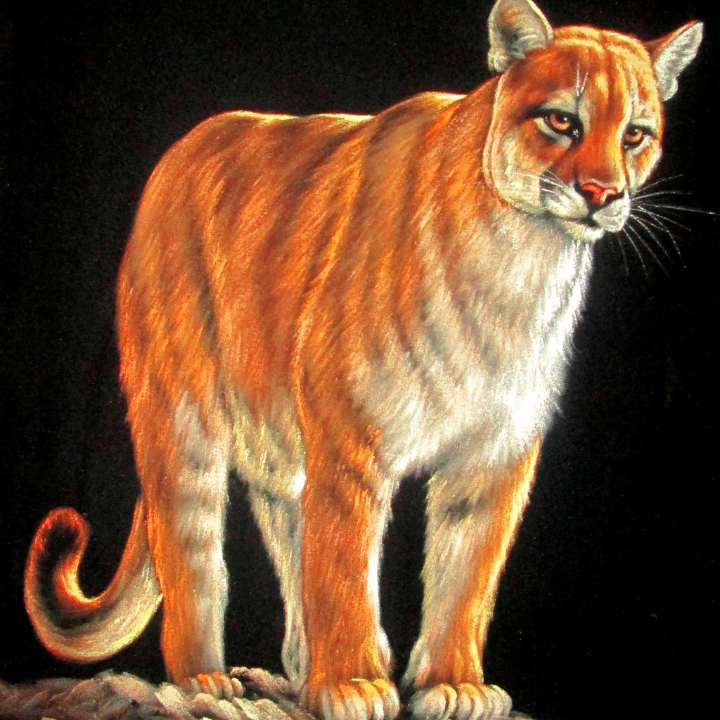 Mountain Lion, Leopard, Panther, Jaguar; Wild Cat; Original Oil Painting on Black Velvet ;   by Jorge Terrones -(size 18"x24")-p2 J086