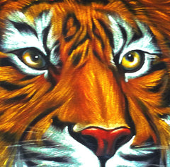 Tiger portrait; Orange Bengal Tiger head; Original Oil painting on Black Velvet by Zenon Matias Jimenez- #JM91