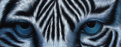 Tiger Eyes, White Tiger Eyes  Original Oil Painting on Black Velvet by Enrique Felix , "Felix" - #F190
