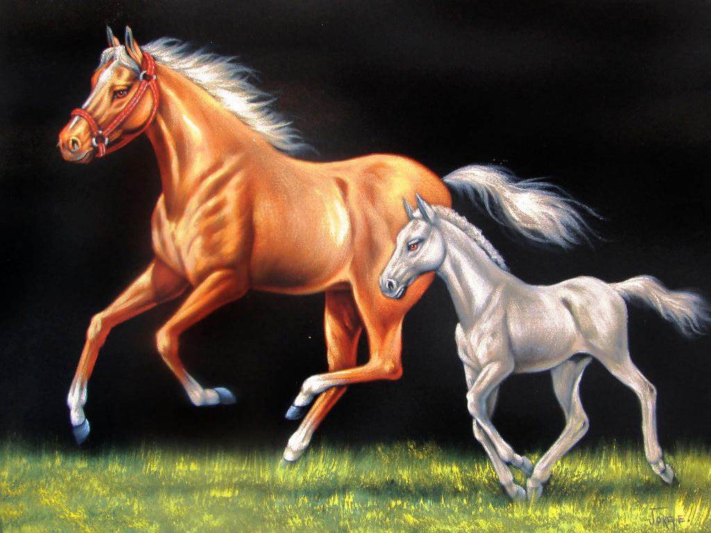 Mare and Colt or filly in grass; Original Oil Painting on Black Velvet ;  by Jorge Terrones -(size 18"x24")-p1 J164