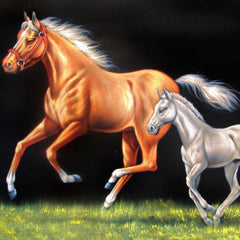 Mare and Colt or filly in grass; Original Oil Painting on Black Velvet ;  by Jorge Terrones -(size 18"x24")-p1 J164