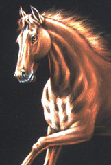 Horse running in grass ; Original Oil Painting on Black Velvet ;   by Jorge Terrones -(size 18"x24")-p2 J021